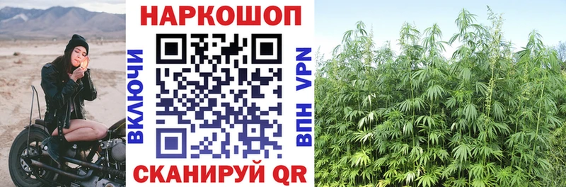 Наркошоп купить МАРИХУАНА  Cocaine  МЕФ  Городовиковск