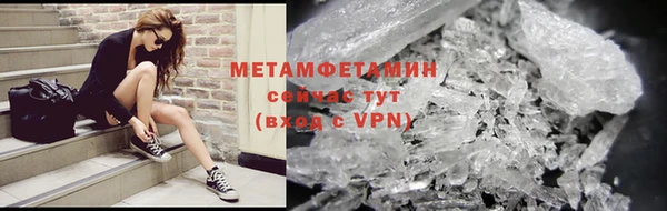 прущие грибы Каменка