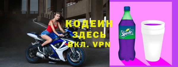 прущие грибы Каменка