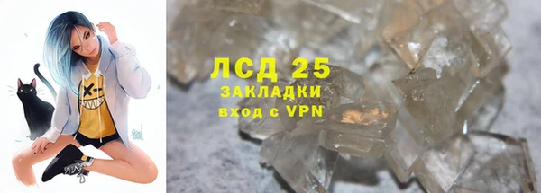 прущие грибы Каменка