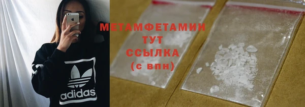 прущие грибы Каменка