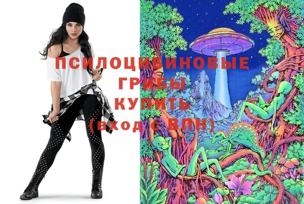кокаин Каменногорск