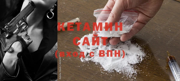 прущие грибы Каменка