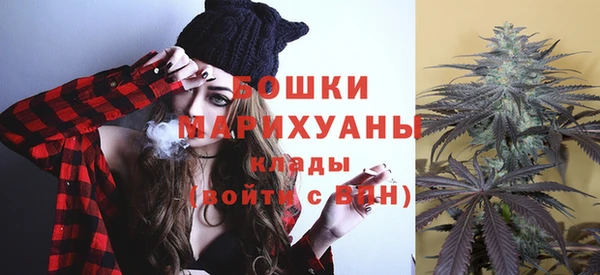 прущие грибы Каменка